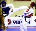 /album/galeria-de-fotos-taekwondo-hapkido-/grande-taekwondo1-jpg/